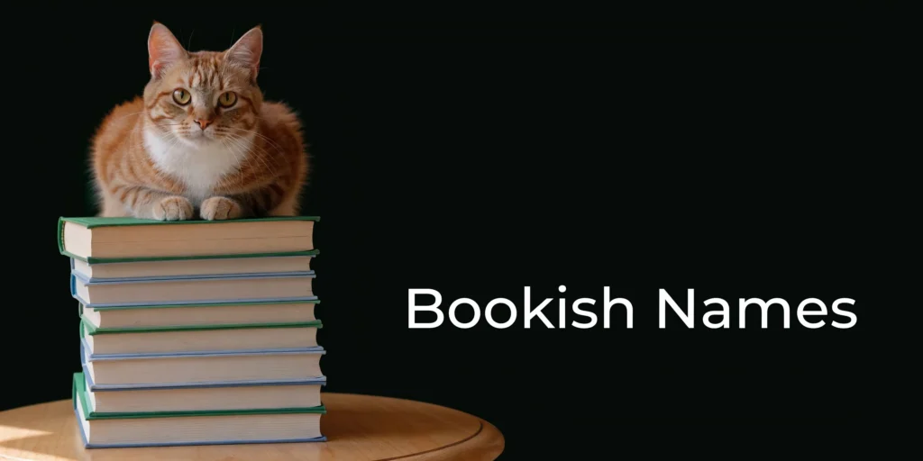 Orange tabby cat resting on a stack of books against a dark background with the title “Bookish Names”.