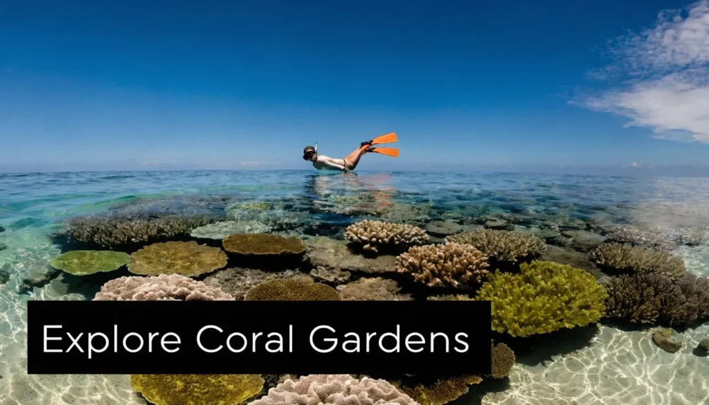 The 10 Best Snorkeling Spots for 2026 Snorkeler swimming above colorful coral reefs in clear tropical ocean waters under a bright blue sky.