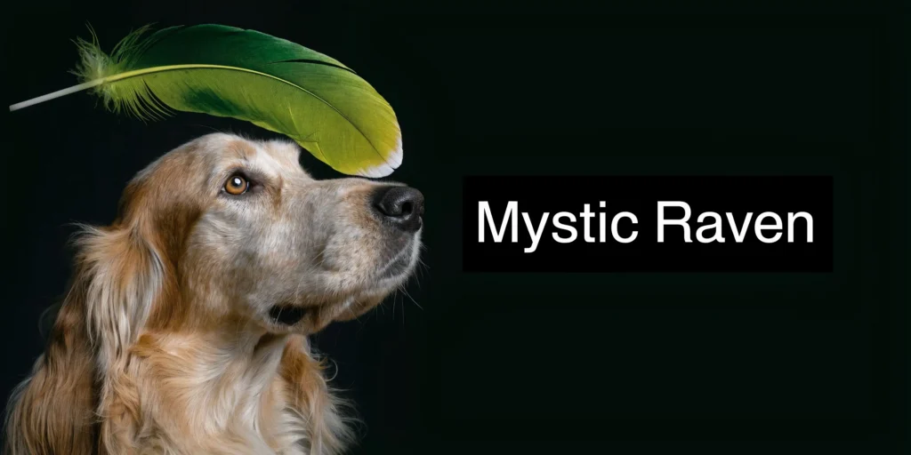 Dog gazing upward beneath a green feather on a dark background with the title “Mystic Raven”.