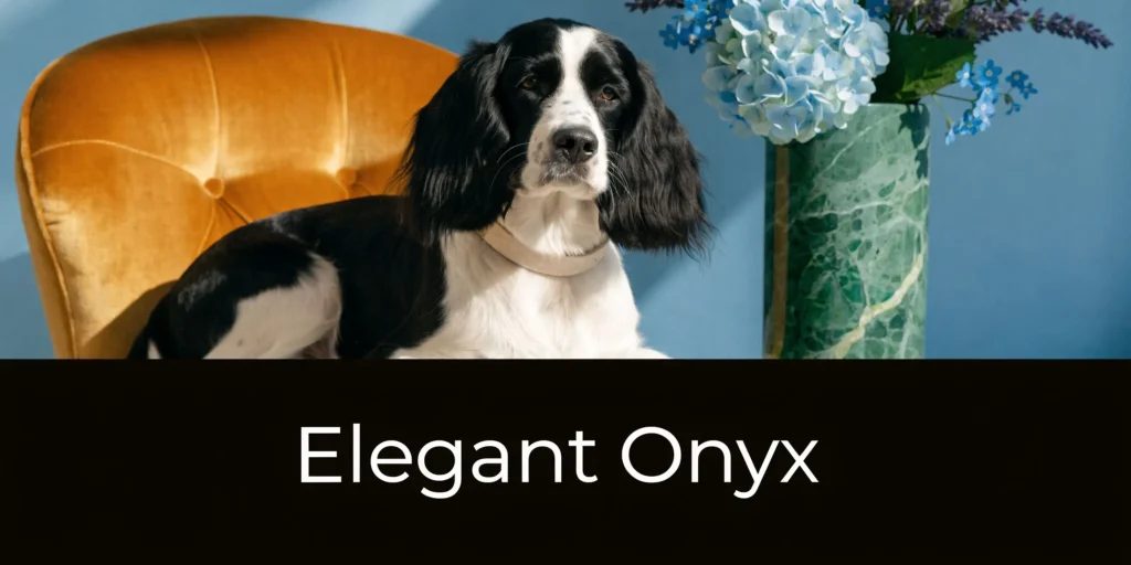 Black and white spaniel resting on a velvet chair beside flowers with the title “Elegant Onyx”.