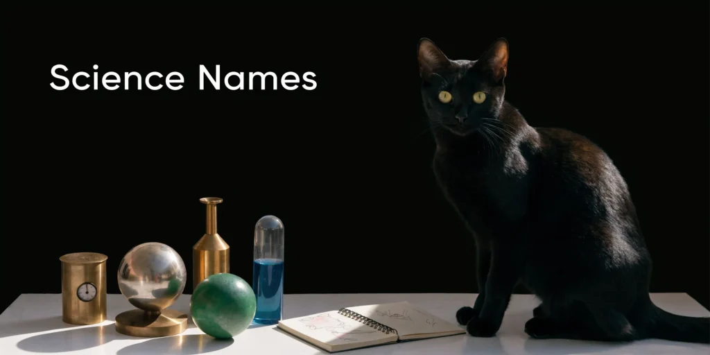 Black cat beside science objects and notebook on a table with the title “Science Names” against a dark background.