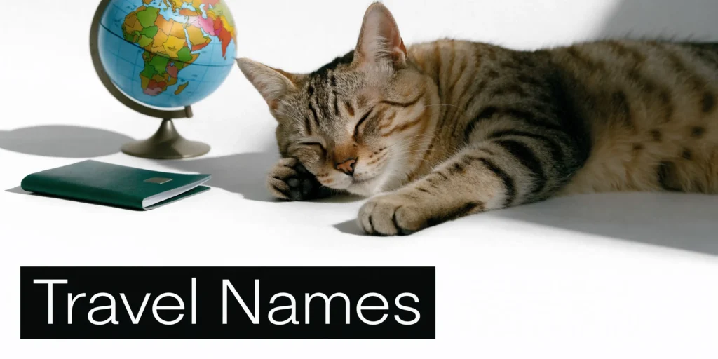 Sleeping tabby cat beside a globe and passport with the title “Travel Names” on a clean white background.