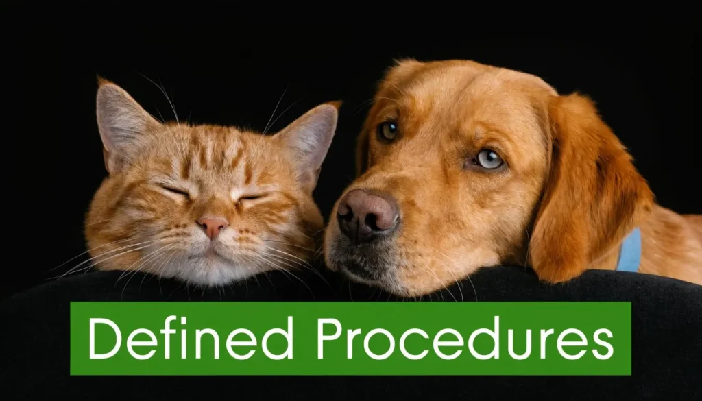 Orange cat and brown dog resting together beside the text “Defined Procedures” on a black background.