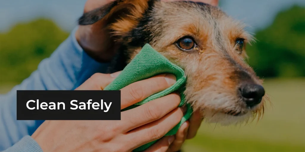 Person gently cleaning a dog’s eye with a cloth outdoors, labeled “Clean Safely,” showing proper pet eye care