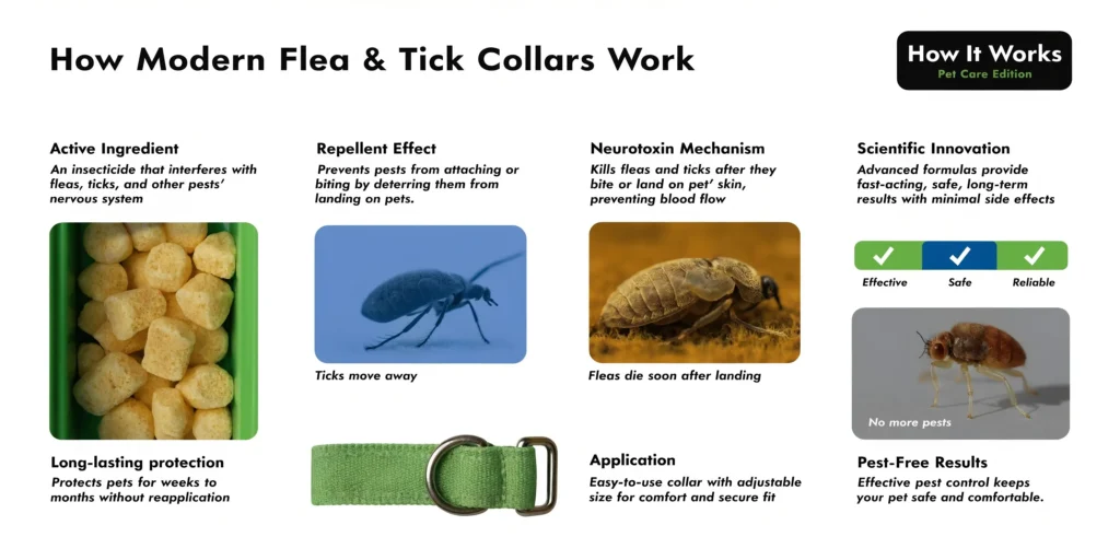 Infographic showing how flea and tick collars work: repellent, neurotoxin action, long-lasting pet protection
