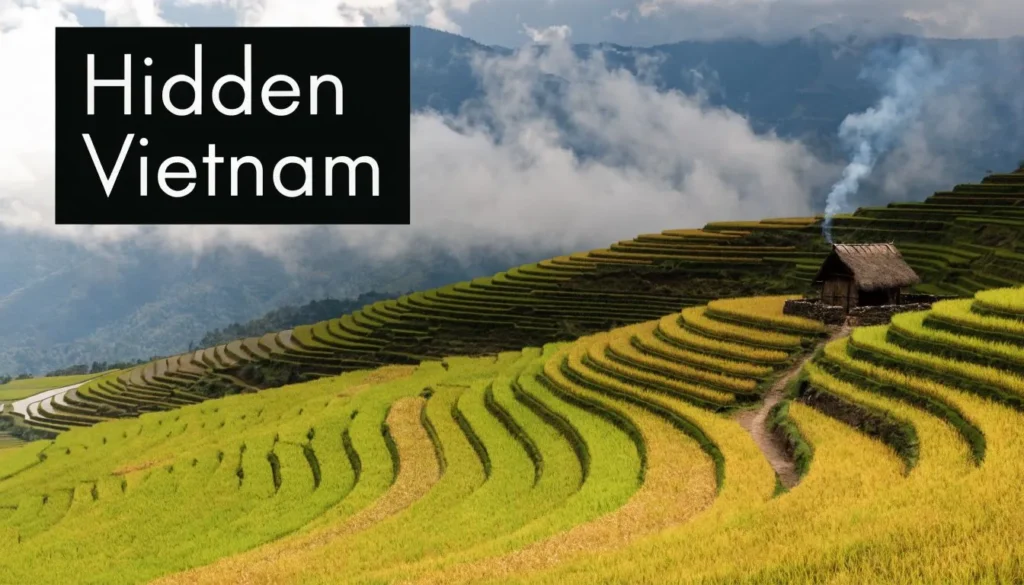Terraced rice fields in Vietnam with misty mountain views and a small hut in a peaceful rural landscape