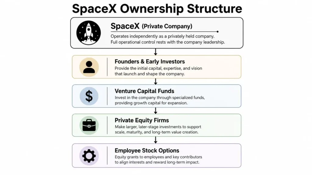 Is SpaceX Publicly Traded? a 2026 Investor Guide Infographic showing SpaceX ownership structure, including founders, investors, private equity, and employee stock options.