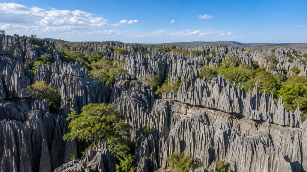 Madagascar’s Tsingy de Bemaraha landscape with dramatic limestone pinnacles, deep crevices, and lush green vegetation.
