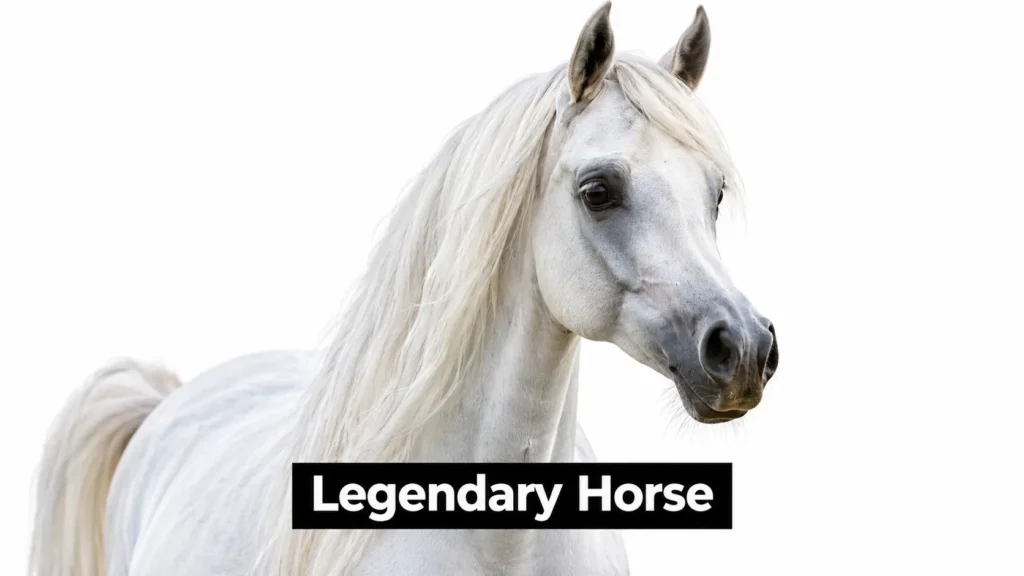 White horse with a long flowing mane against a white background, labeled “Legendary Horse.”